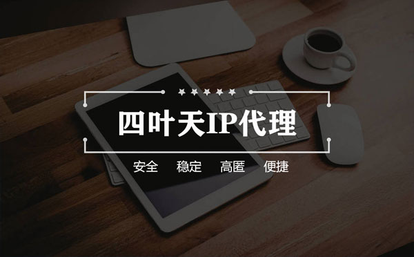 【宝应县代理IP】如何快速搭建代理IP？怎么检查代理的效果？